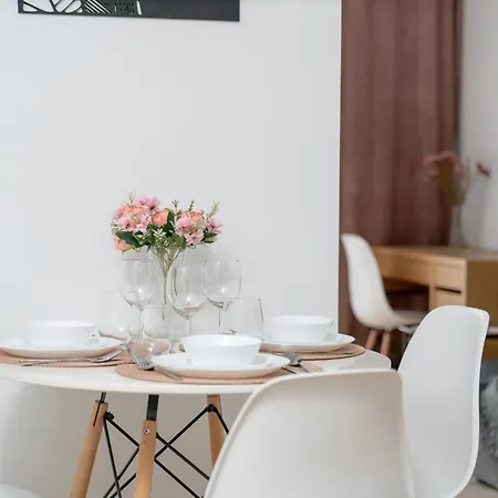 Spacious Apartments Niemena With Free Garage By Noclegi Renters Poznan Exterior photo